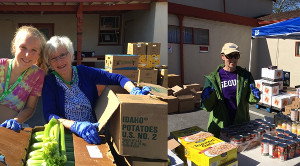 Volunteers at family harvest